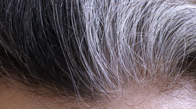 Gray Hair